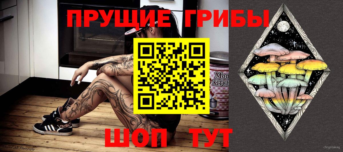 Галлюциногенные грибы Cubensis Черкесск
