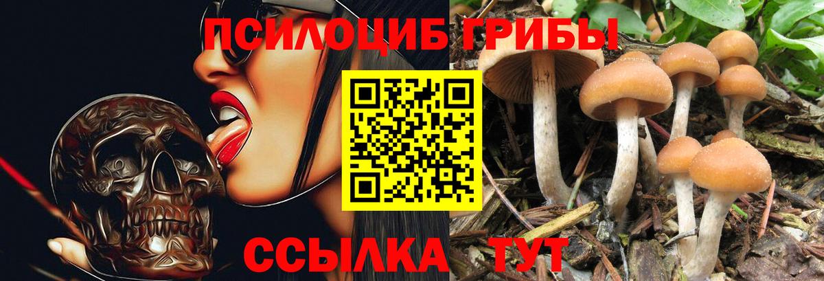 Галлюциногенные грибы прущие грибы  Вход с VPN  Черкесск  Псилоцибиновые грибы MAGIC MUSHROOMS 